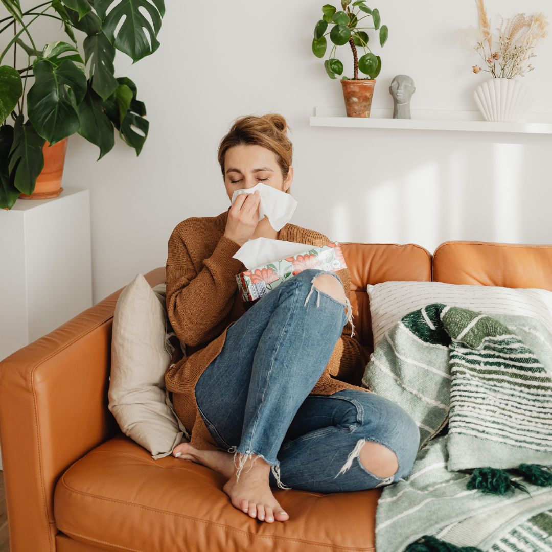 Woman blowing her nose on a couch at home, holding a tissue box beside a blanket and potted plants