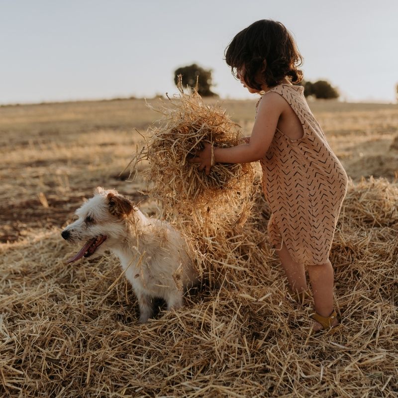 Ringworm and Your Pets: Understanding the Itchy Intruder