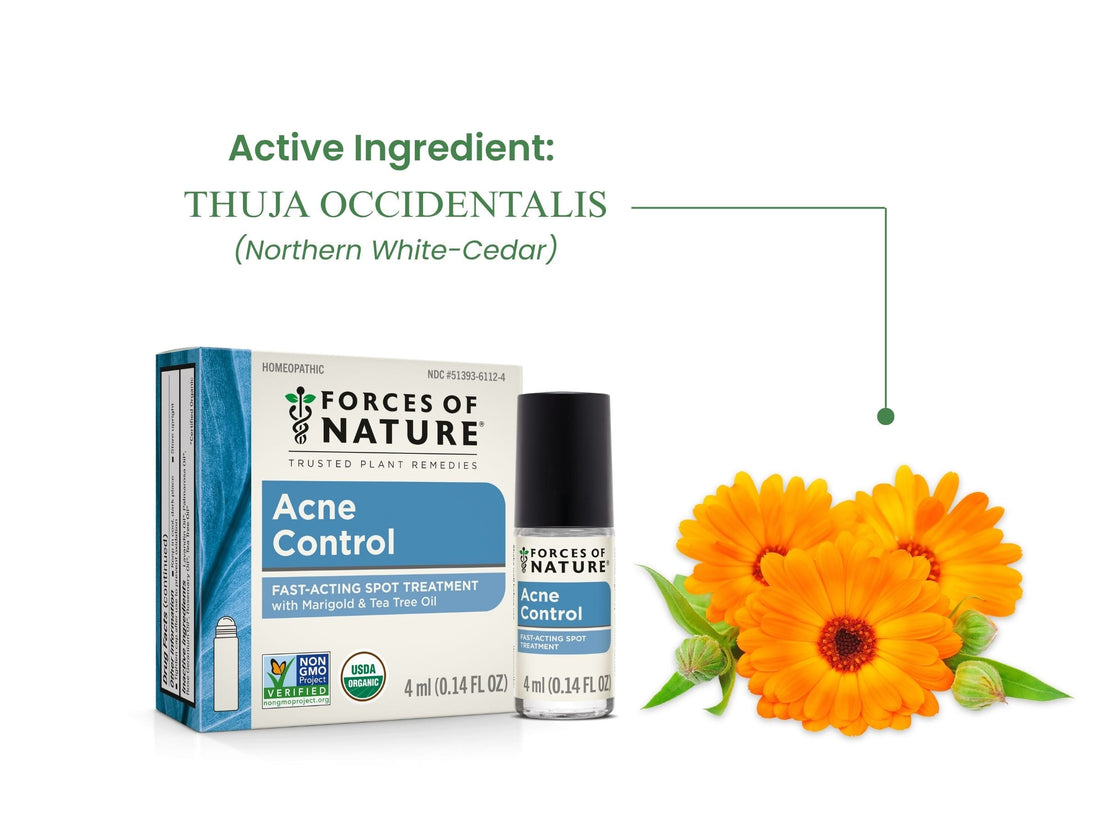 Infographic showing headline ‘Active Ingredient: THUJA OCCIDENTALIS (Northern White-Cedar)’ with Acne Control packaging and calendula flowers