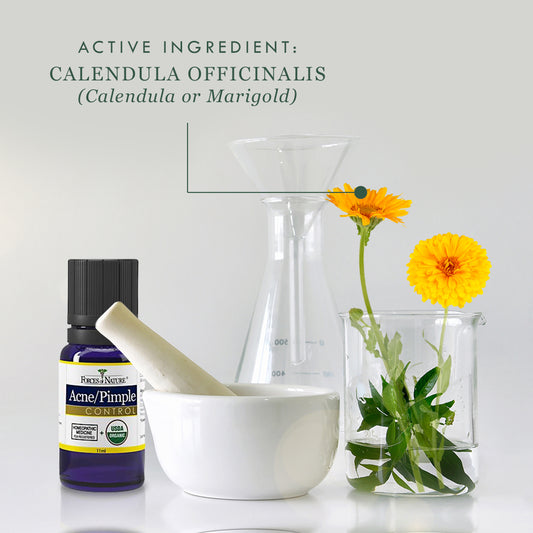 What is Calendula officinalis