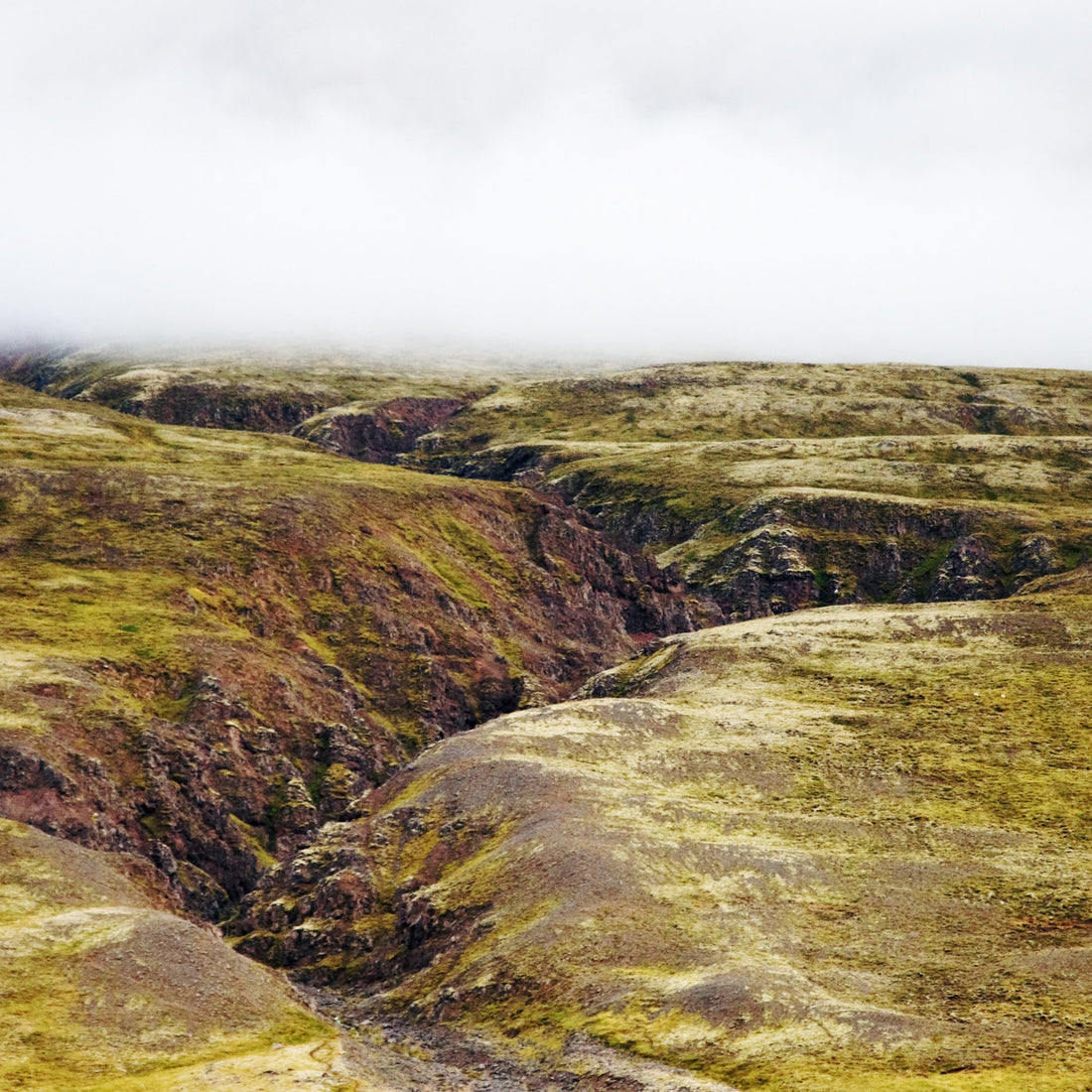 Fog drifting across grassy hills on a misty moorland