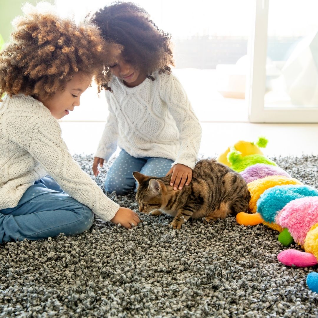 Two children petting a tabby cat on a gray living-room rug with a colorful plush caterpillar toy nearby