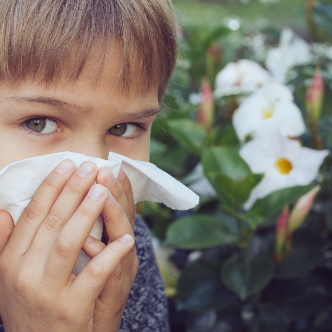 Child holding a tissue to their nose outdoors beside white flowering plants
