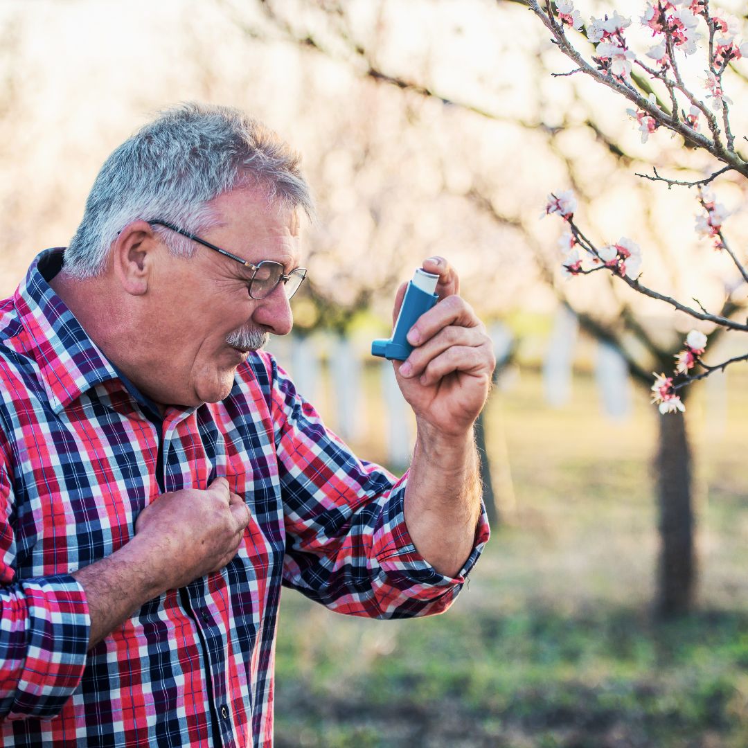 Older man using a blue inhaler outdoors among blooming trees