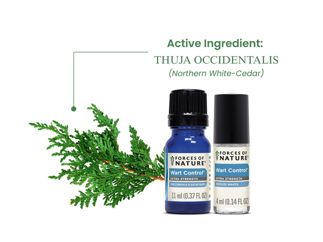 Product graphic showing Thuja occidentalis as the active ingredient in Wart Control bottles with a northern white cedar sprig