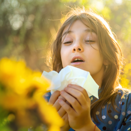 The Ultimate Guide to Seasonal Allergies