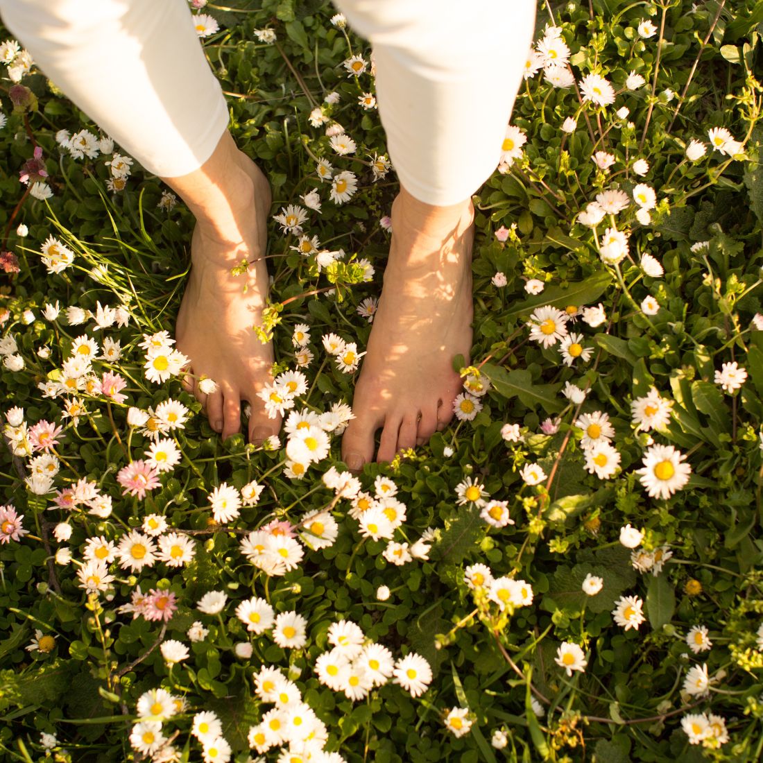 Feet in a wildflower field