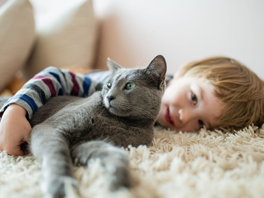 Understanding Ringworm in Animals: A Comprehensive Guide