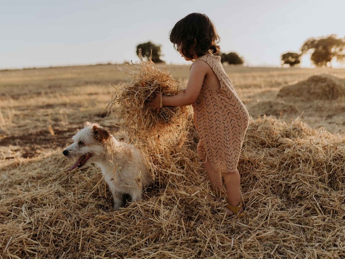 Young child piling hay onto a small white-and-tan dog in a sunlit dry field