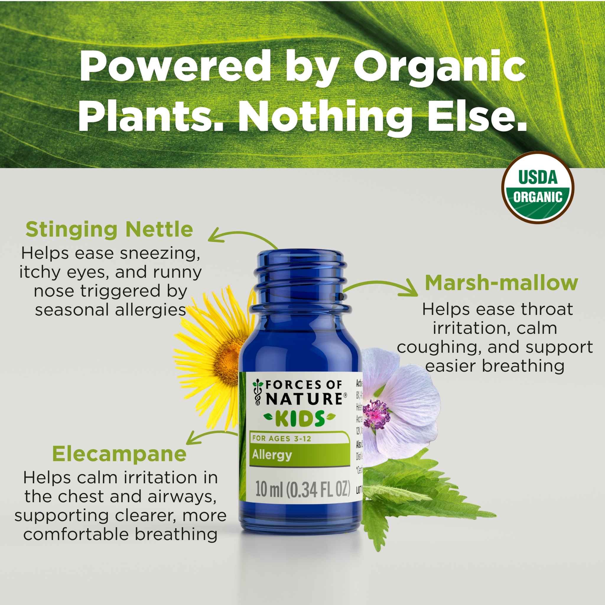 Allergy Relief for Kids