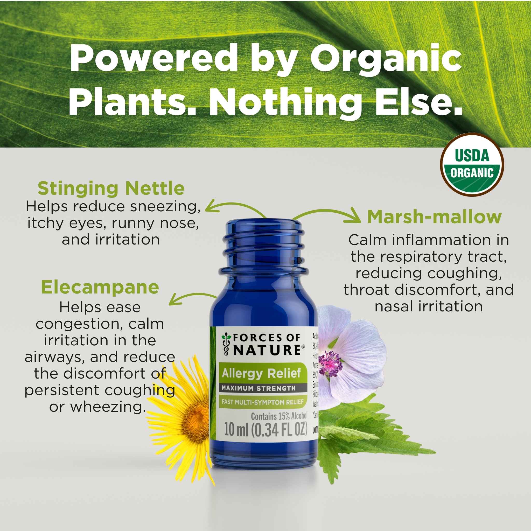 Allergy Maximum Strength