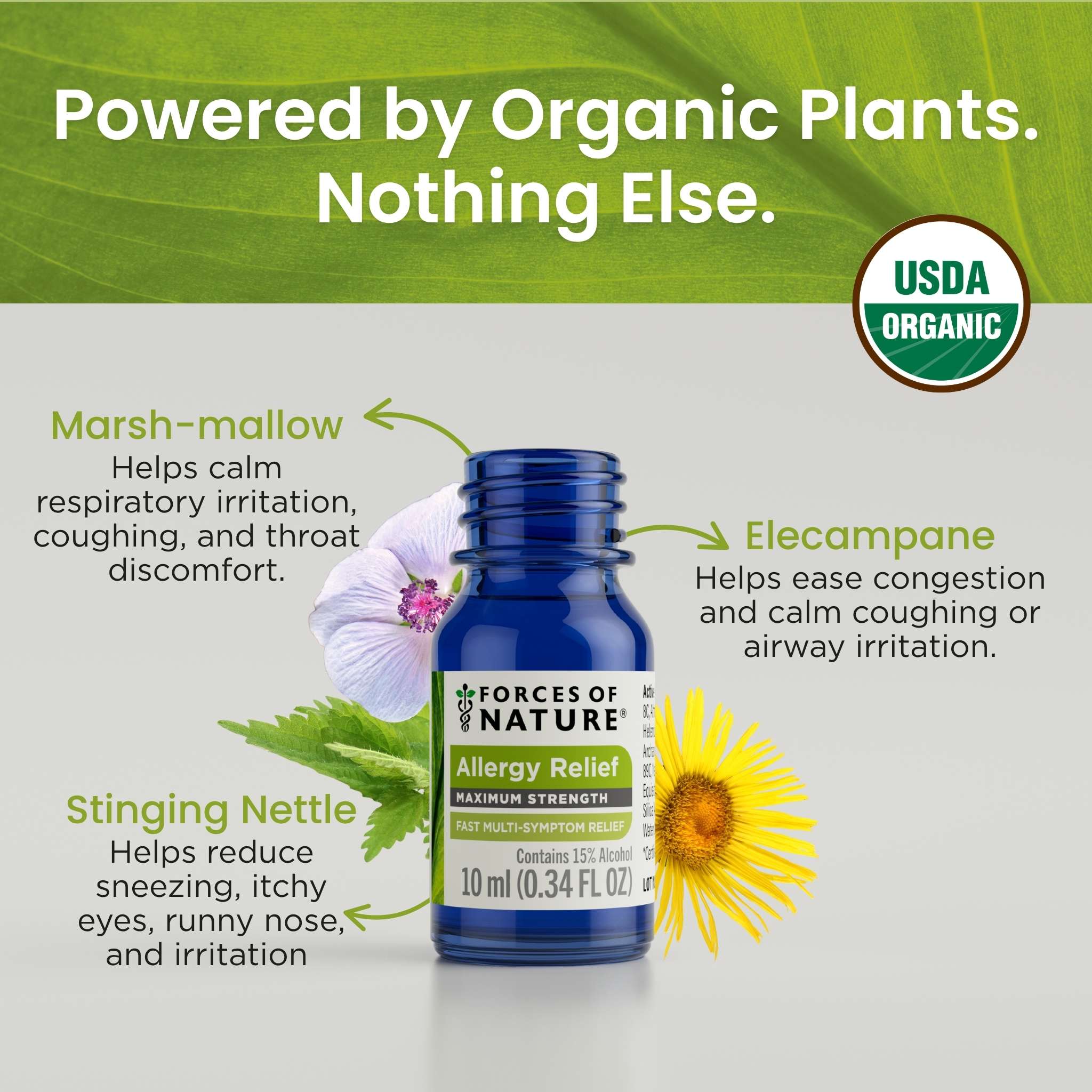 Allergy Maximum Strength