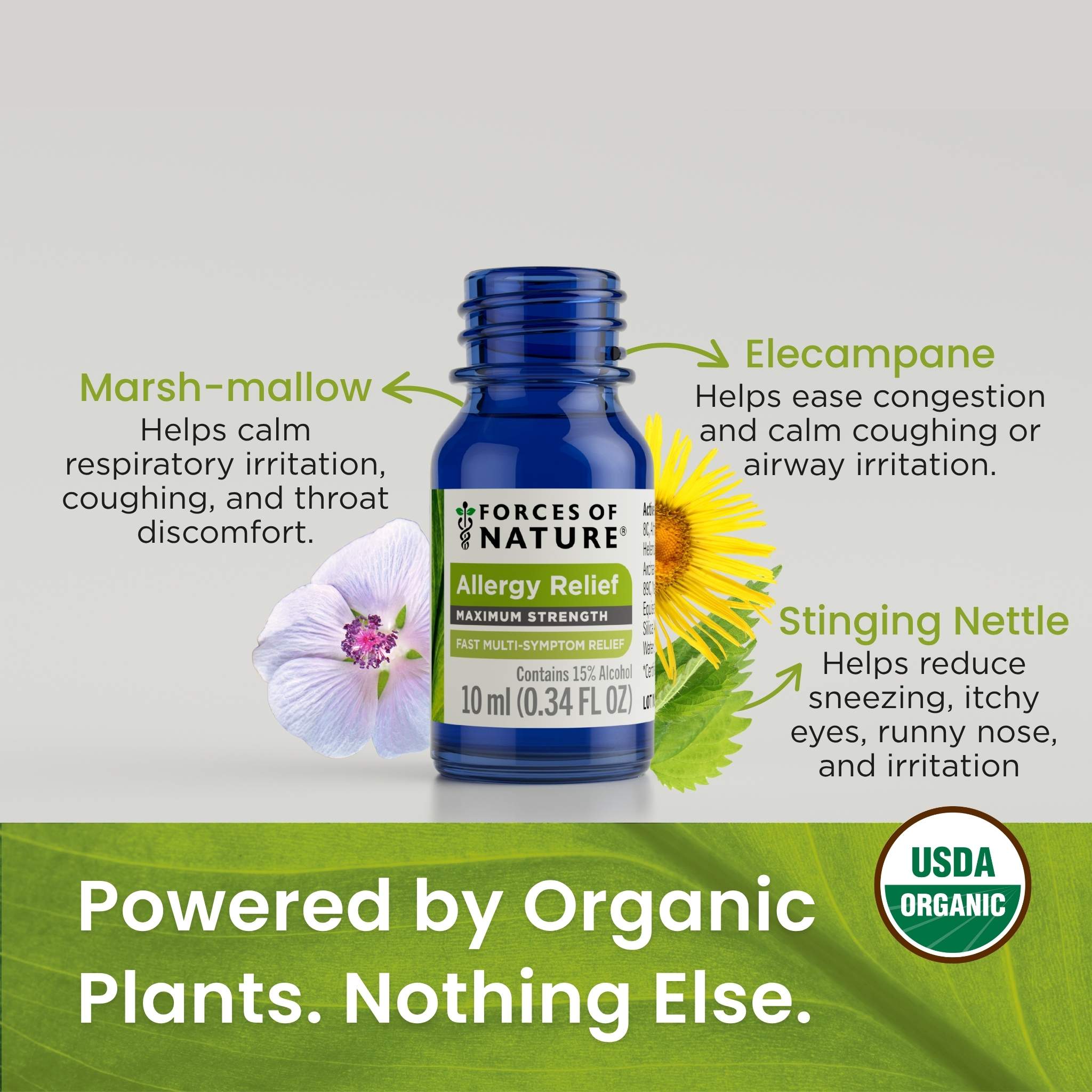 Allergy Maximum Strength