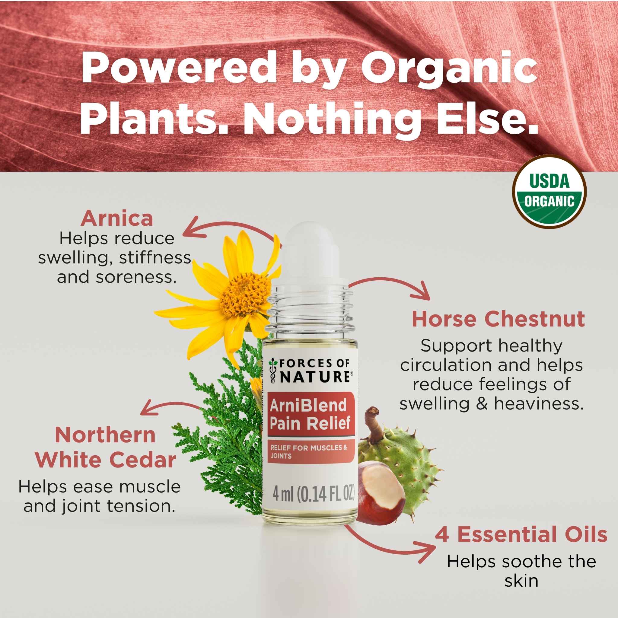 ArniBlend Pain Relief