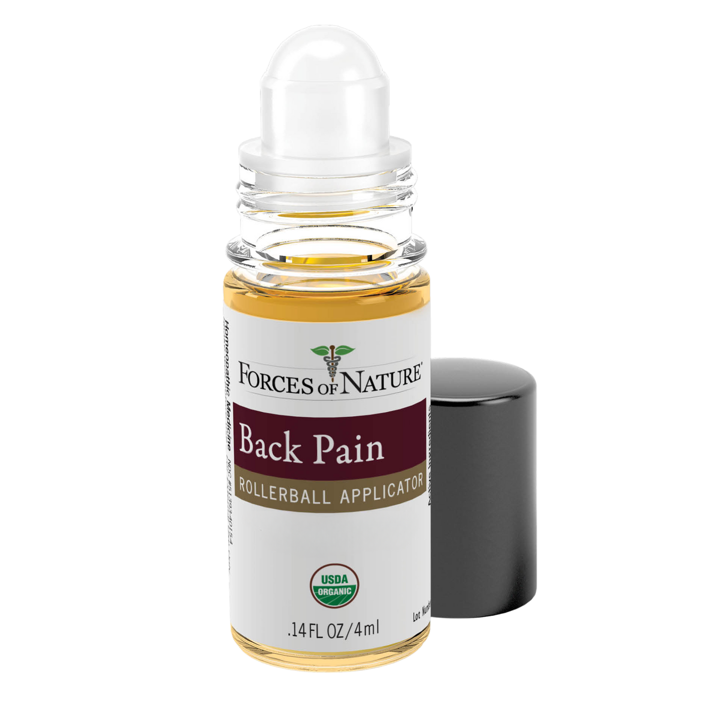 Back Pain Treatment