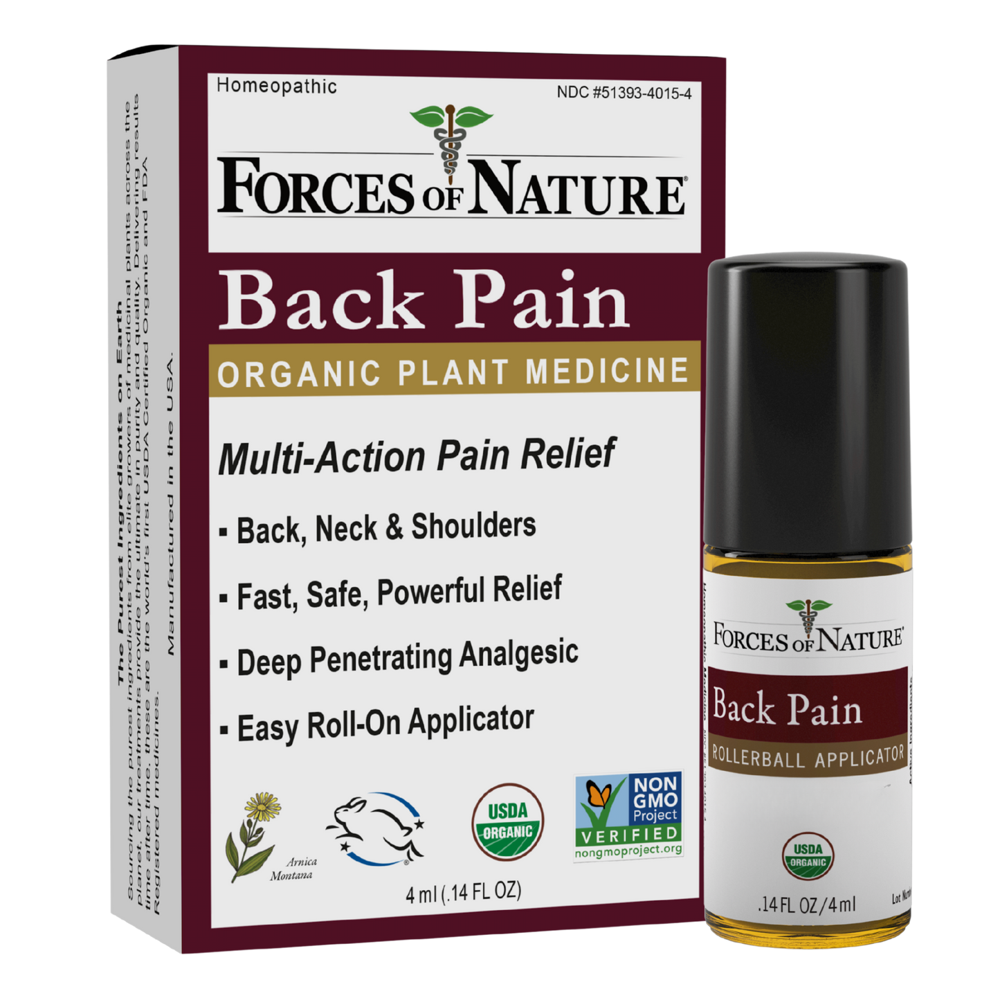 Back Pain Treatment