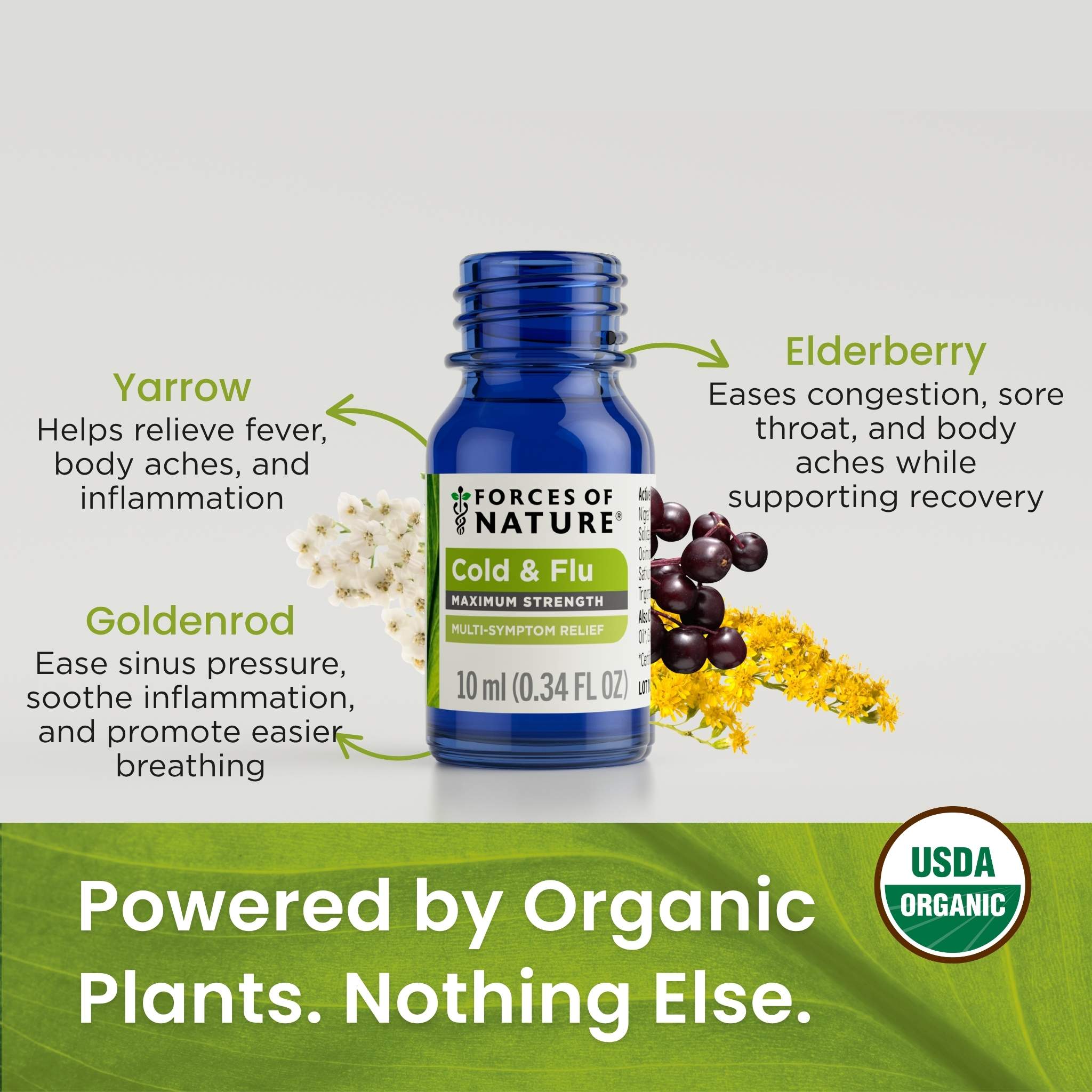 Forces of Nature Cold & Cough Maximum Strength Drops | Plant-Based