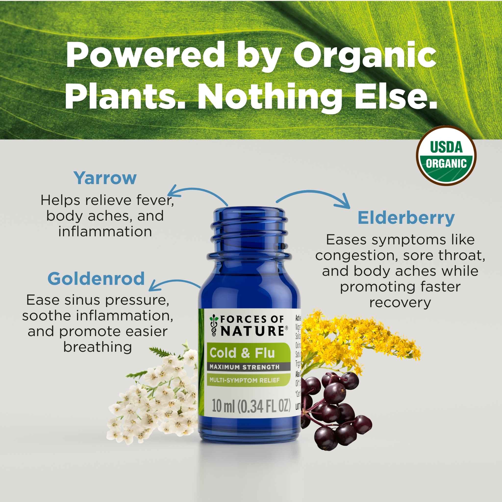 Cold and Flu Maximum Strength