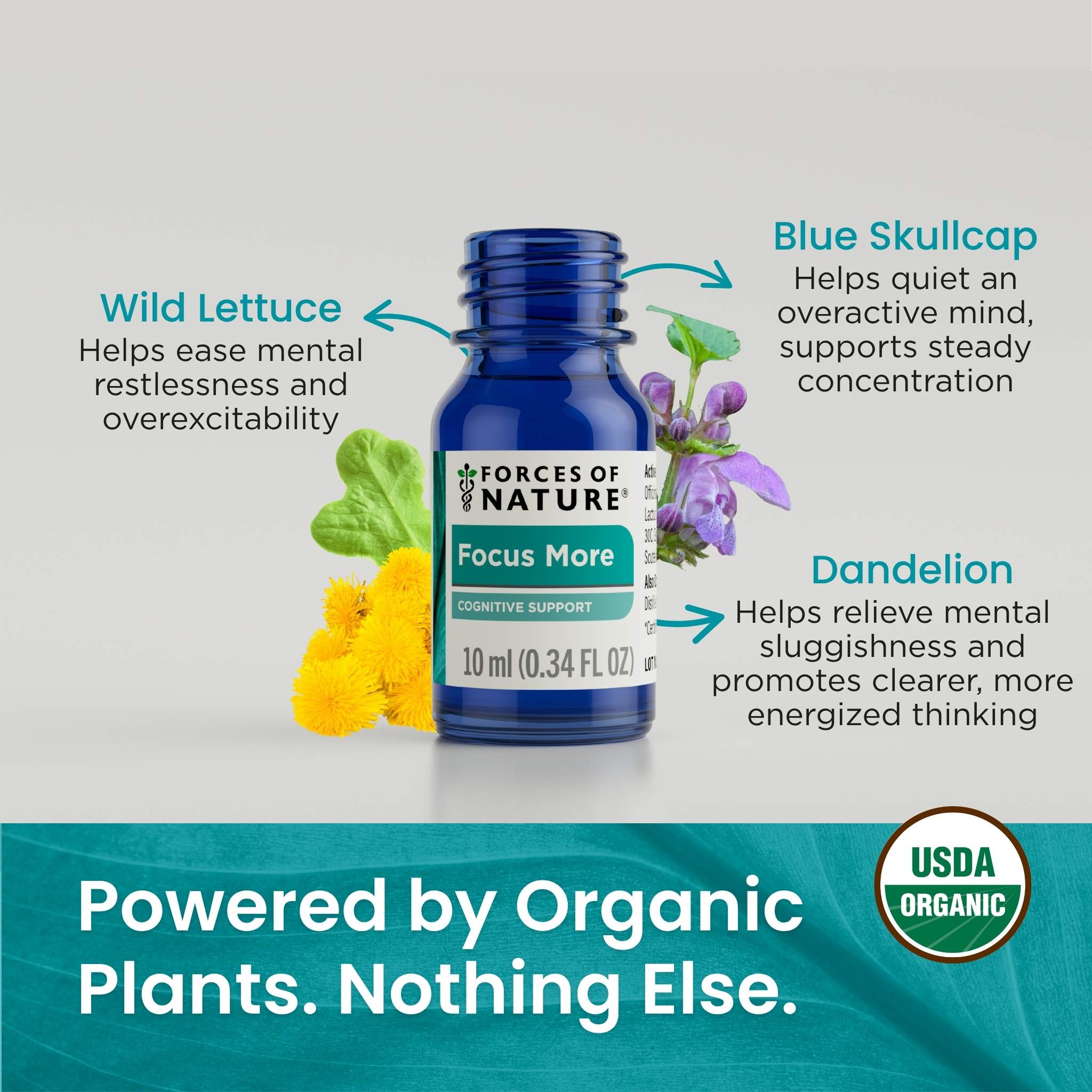 Forces of Nature Focus & Mental Clarity Support Drops | Plant