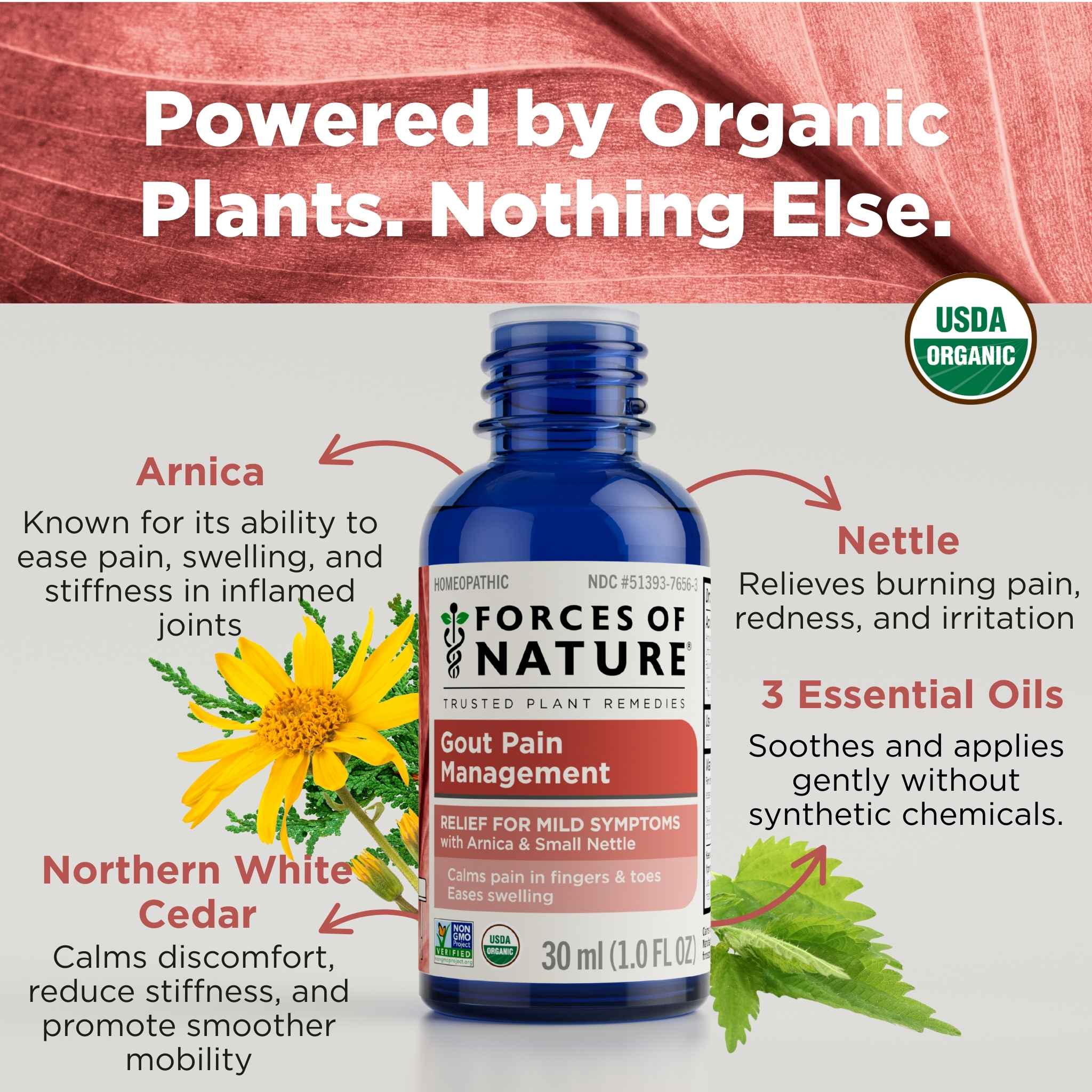 Gout Pain Management