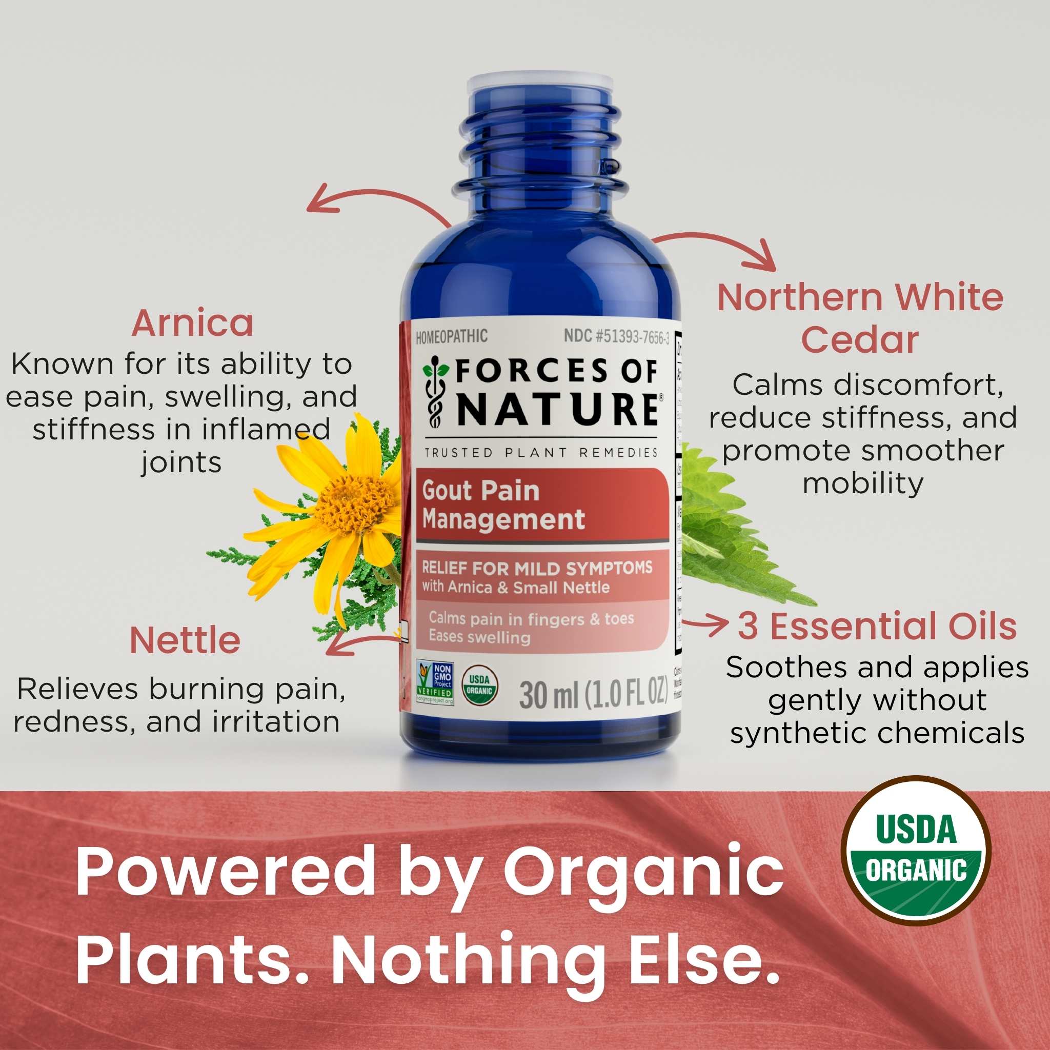 Gout Pain Management