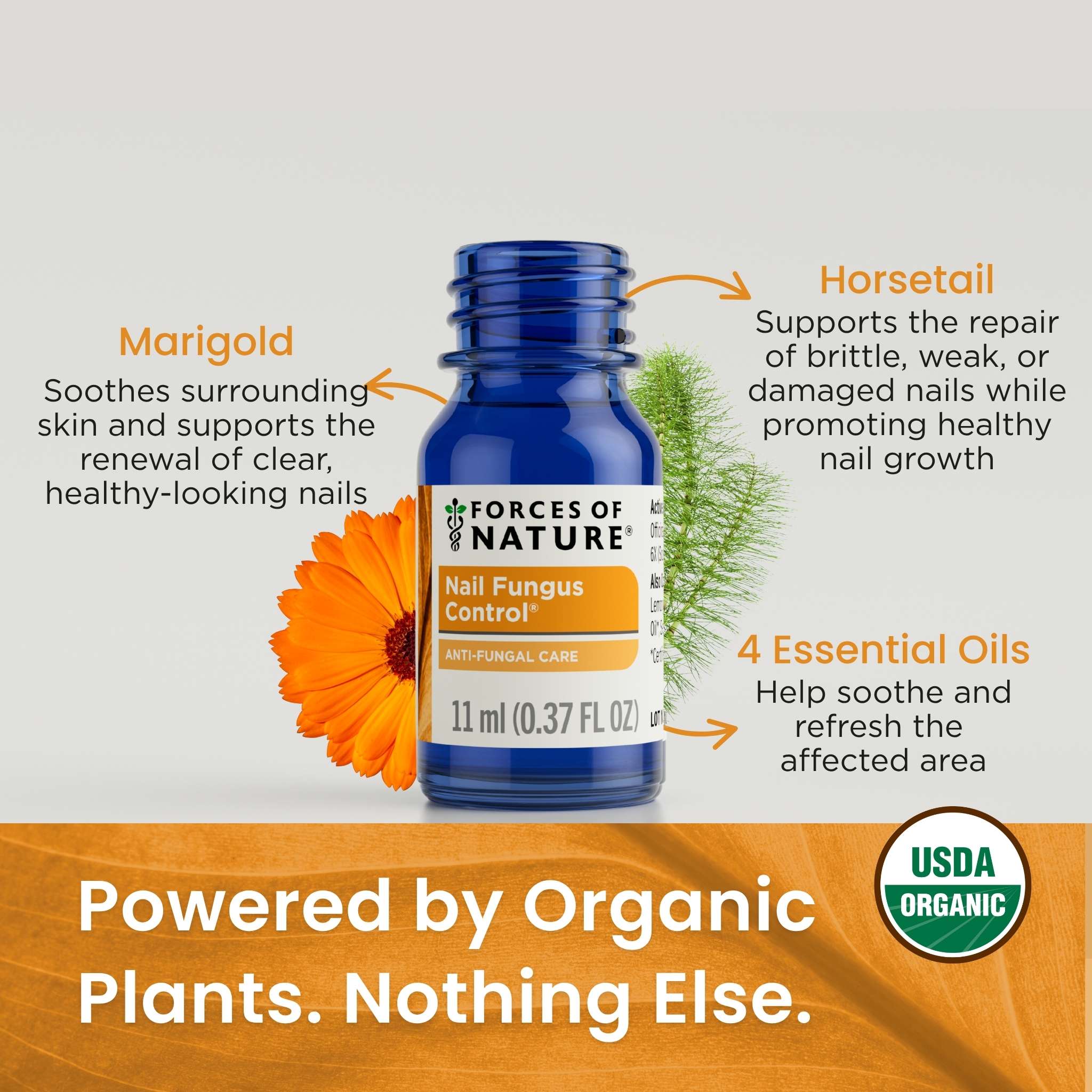 Nail Fungus Control