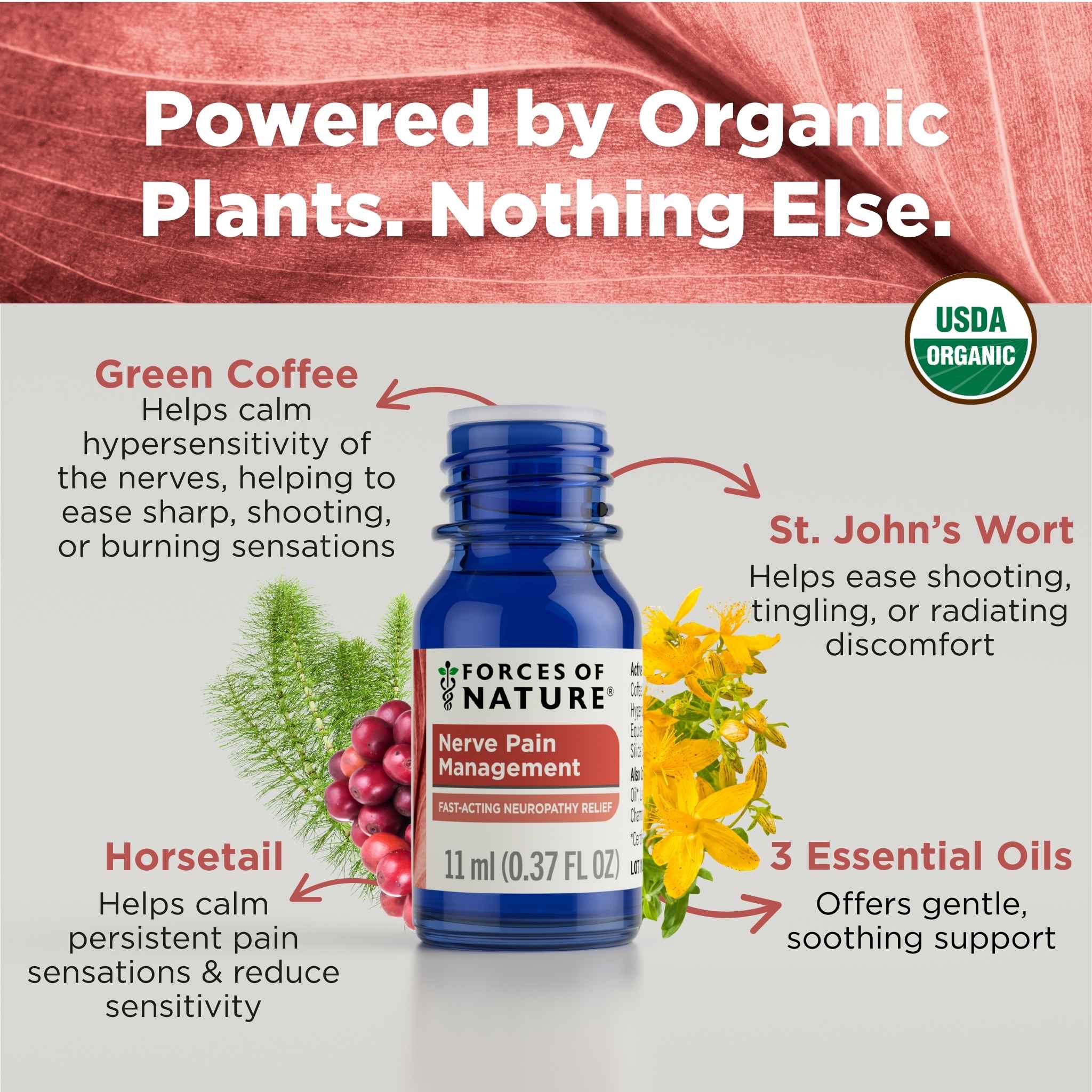 Nerve Pain Management