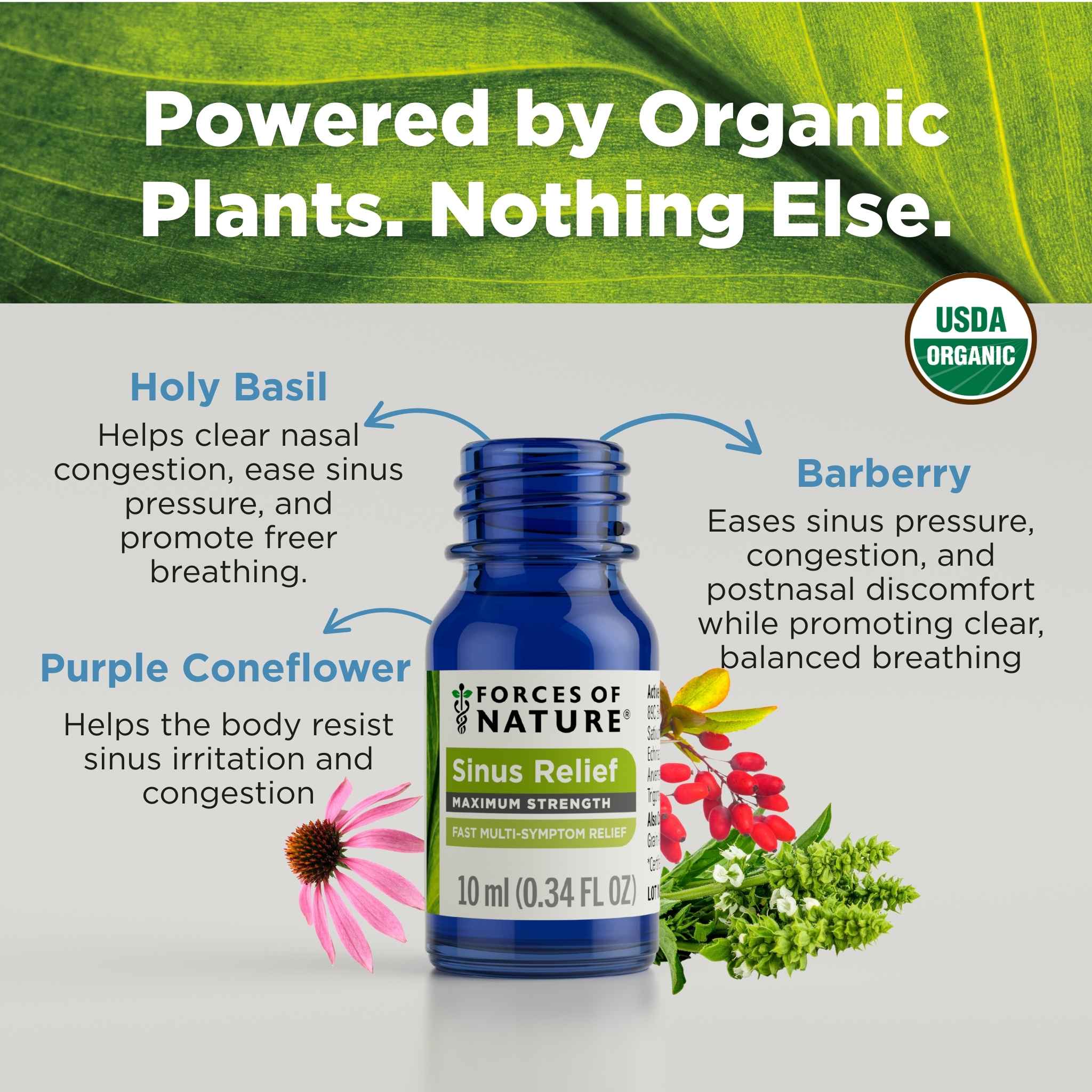 Sinus Maximum Strength