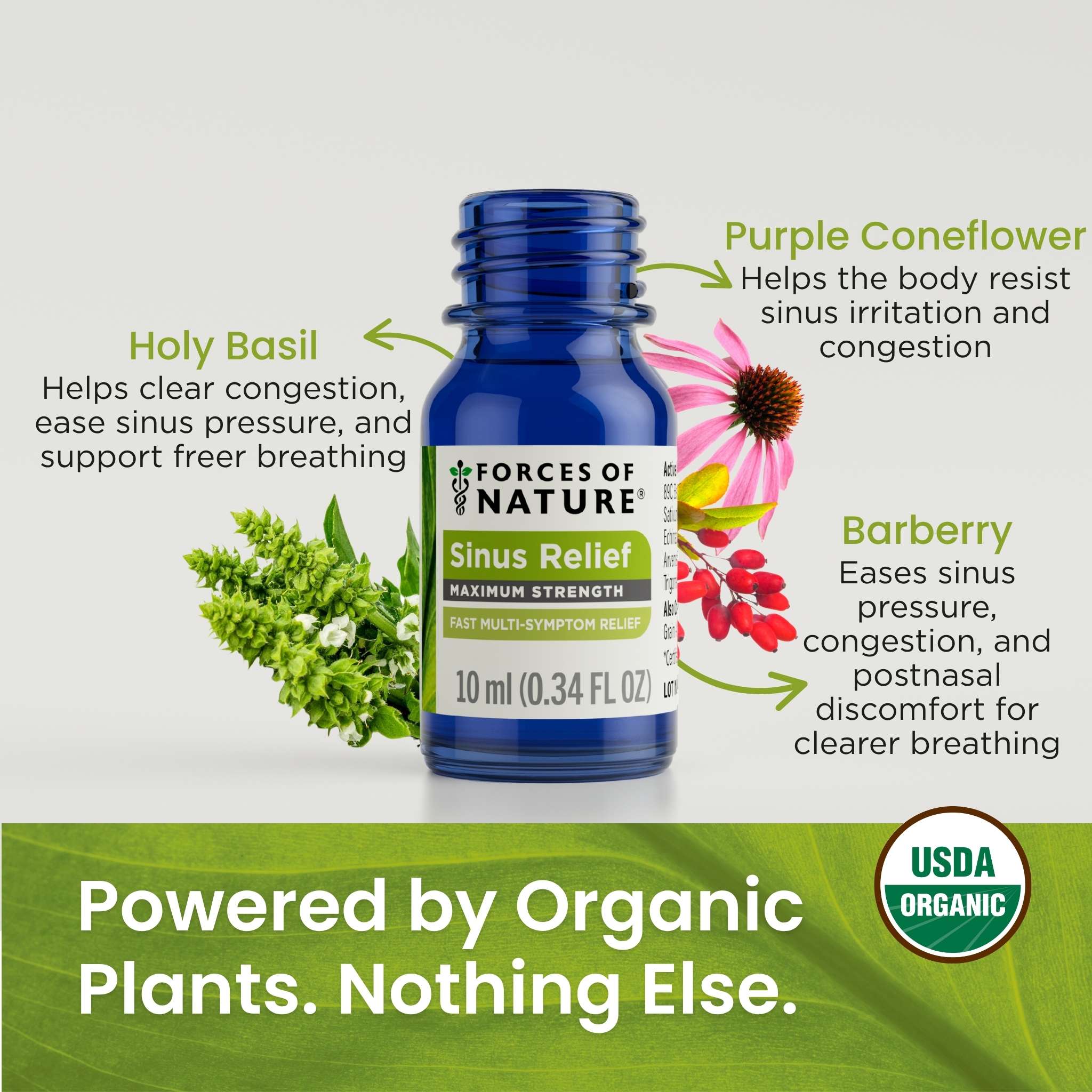 Sinus Maximum Strength
