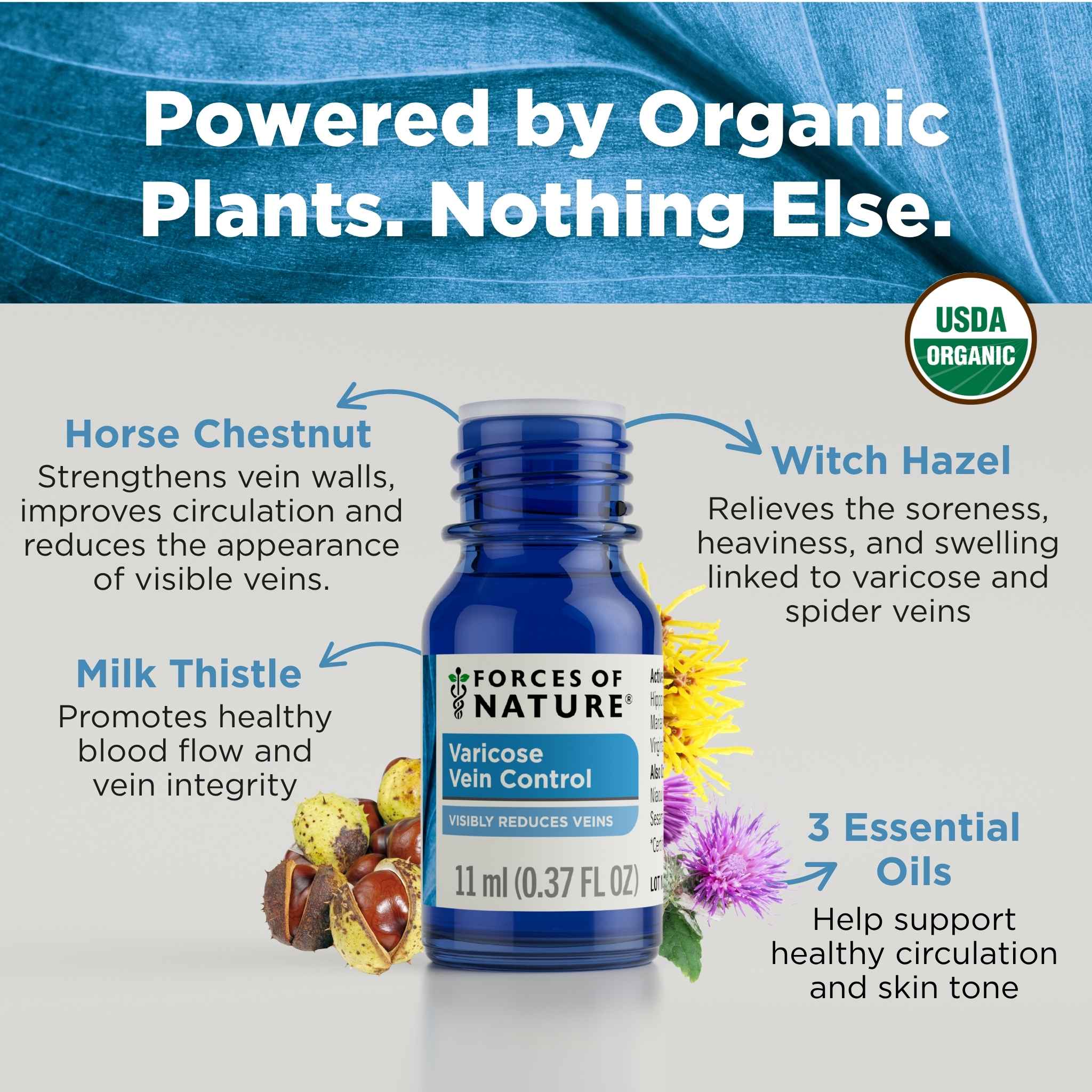 Varicose Vein & Spider Vein Treatment